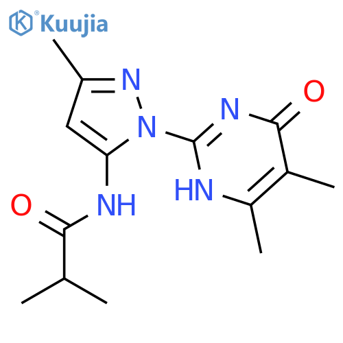 N-[1-(4,5-dimethyl-6-oxo-1,6-dihydropyrimidin-2-yl)-3-methyl-1H-pyrazol-5-yl]-2-methylpropanamide structure