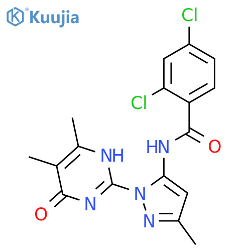 2,4-dichloro-N-[1-(4,5-dimethyl-6-oxo-1,6-dihydropyrimidin-2-yl)-3-methyl-1H-pyrazol-5-yl]benzamide structure
