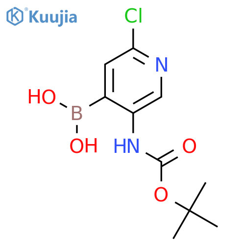 (5-((tert-Butoxycarbonyl)amino)-2-chloropyridin-4-yl)boronic acid structure