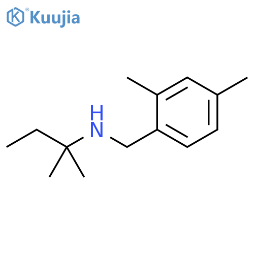 (2,4-dimethylphenyl)methyl(2-methylbutan-2-yl)amine structure