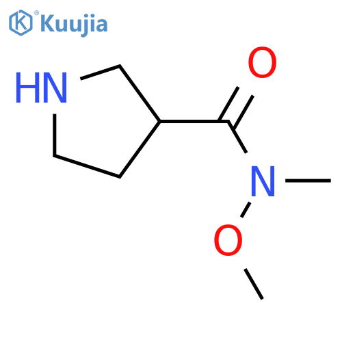 N-methoxy-N-methylpyrrolidine-3-carboxamide structure