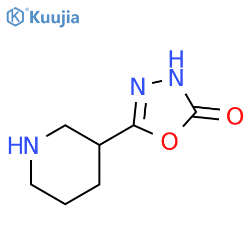 5-(piperidin-3-yl)-2,3-dihydro-1,3,4-oxadiazol-2-one structure