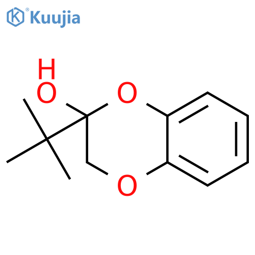 2-tert-Butyl-2,3-dihydro-1,4-benzodioxin-2-ol structure