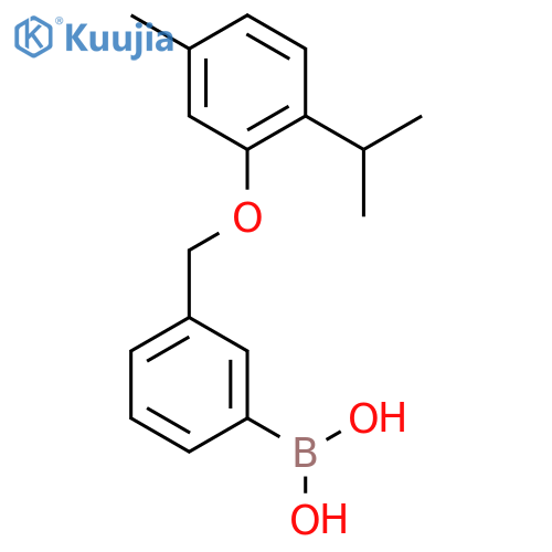 3-(2'-Isopropyl-5'-methylphenoxy)methylphenylboronic Acid structure