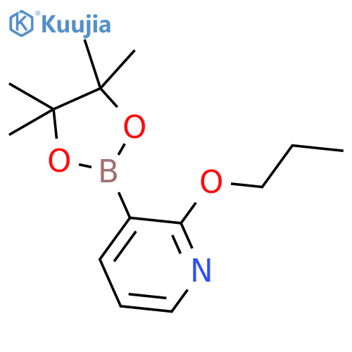 (2-propoxypyridin-3-yl)boronic acid structure