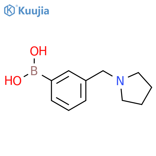 [3-(pyrrolidin-1-ylmethyl)phenyl]boronic acid structure