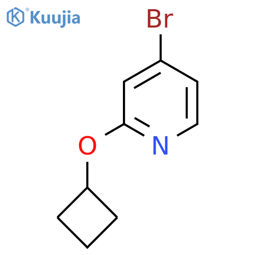 4-Bromo-2-cyclobutyloxypyridine structure