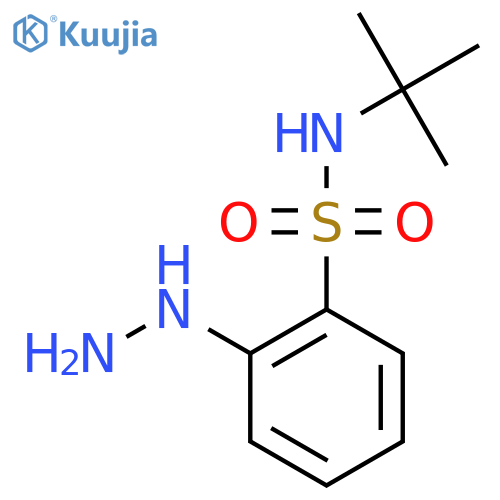 N-tert-butyl-2-hydrazinylbenzene-1-sulfonamide structure