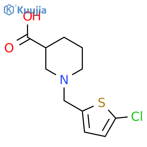 1-[(5-Chlorothiophen-2-yl)methyl]piperidine-3-carboxylic acid structure