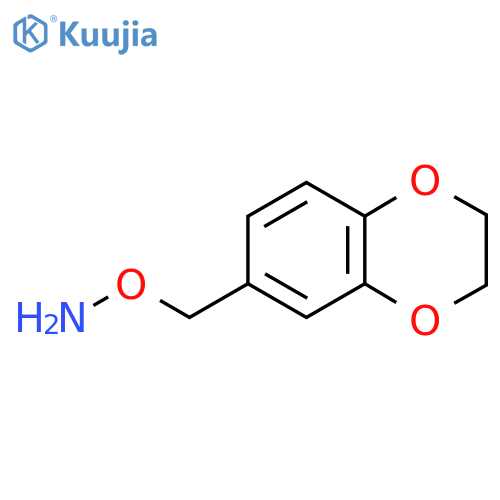 O-(2,3-dihydro-1,4-benzodioxin-6-yl)methylhydroxylamine structure