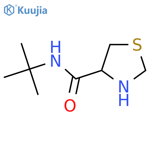 N-tert-butyl-1,3-thiazolidine-4-carboxamide structure