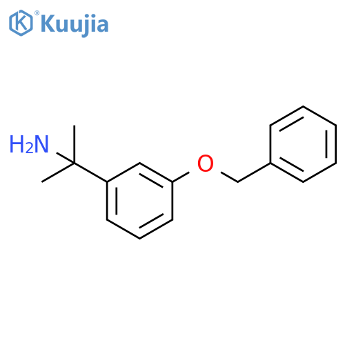 2-3-(benzyloxy)phenylpropan-2-amine structure