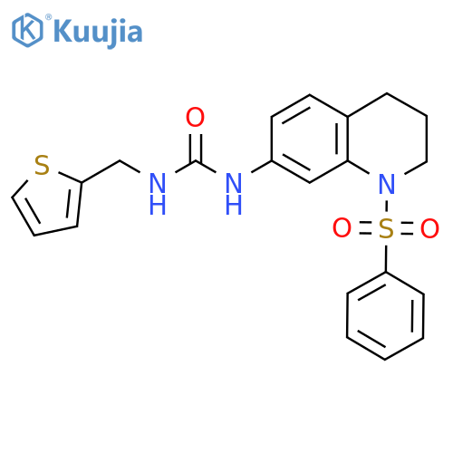 1-1-(benzenesulfonyl)-1,2,3,4-tetrahydroquinolin-7-yl-3-(thiophen-2-yl)methylurea structure