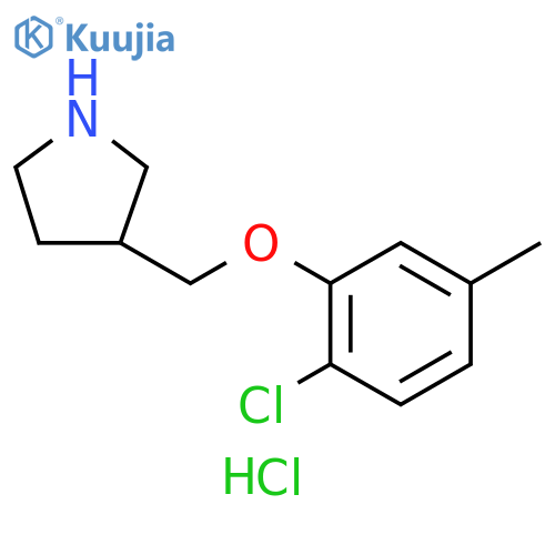 2-Chloro-5-methylphenyl 3-pyrrolidinylmethylether hydrochloride structure