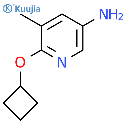 6-Cyclobutoxy-5-methylpyridin-3-amine structure