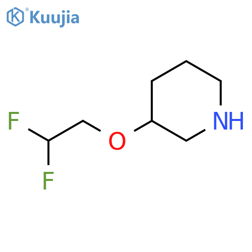 3-(2,2-difluoroethoxy)piperidine structure