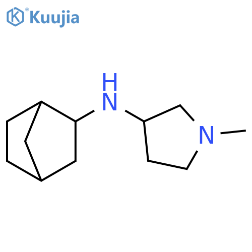 N-{bicyclo[2.2.1]heptan-2-yl}-1-methylpyrrolidin-3-amine structure