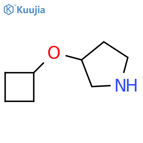 3-cyclobutoxypyrrolidine structure