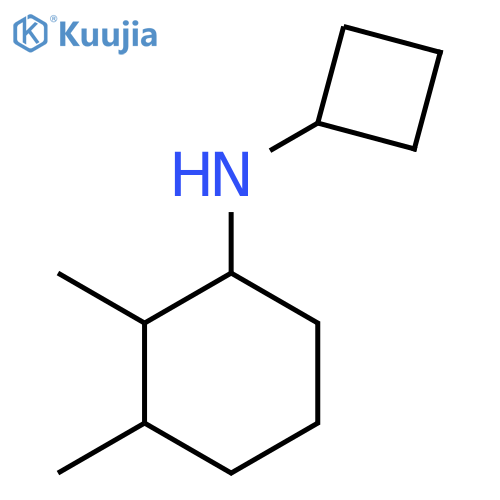 N-cyclobutyl-2,3-dimethylcyclohexan-1-amine structure