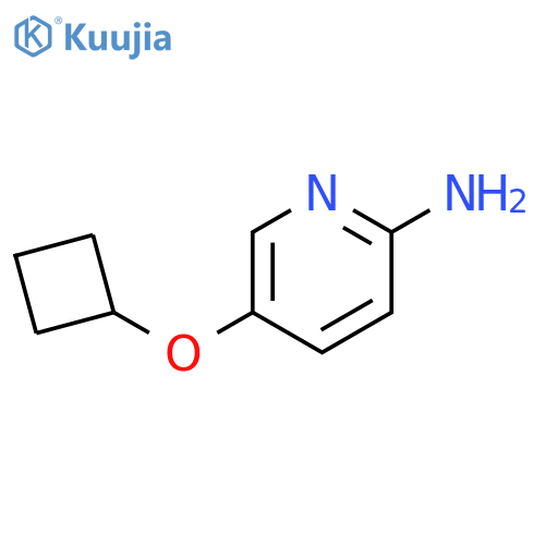 5-cyclobutoxypyridin-2-amine structure