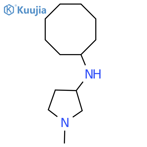 N-cyclooctyl-1-methylpyrrolidin-3-amine structure