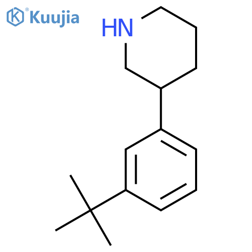 3-(3-Tert-butylphenyl)piperidine structure