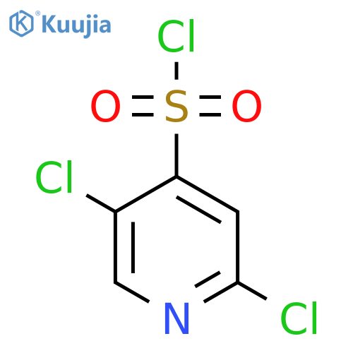 2,5-Dichloropyridine-4-sulfonyl chloride structure