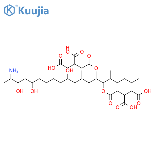 Macrofusine structure
