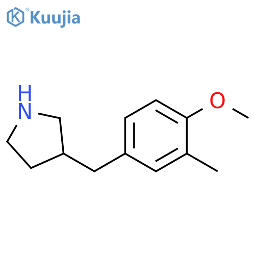 3-(4-methoxy-3-methylphenyl)methylpyrrolidine structure