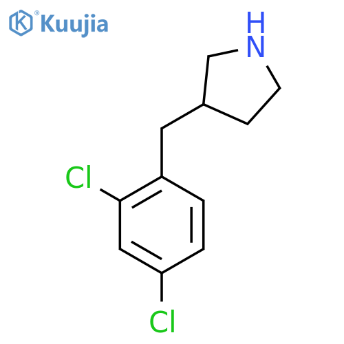 3-(2,4-dichlorophenyl)methylpyrrolidine structure