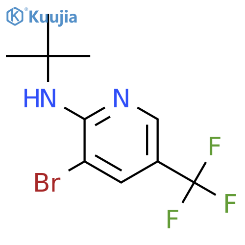 3-Bromo-N-(tert-butyl)-5-(trifluoromethyl)pyridin-2-amine structure
