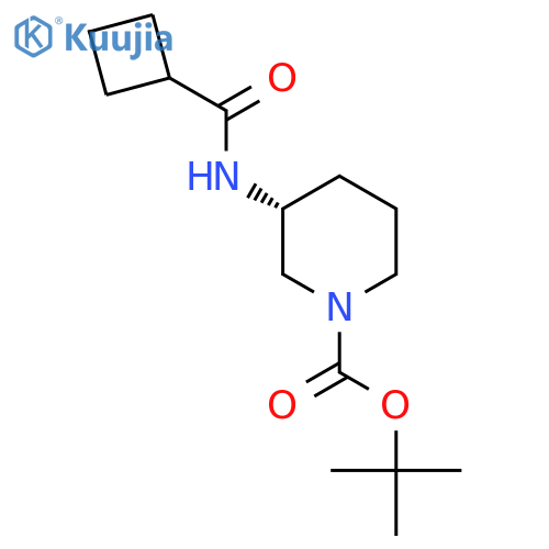 (R)-Tert-Butyl 3-(cyclobutanecarbonylamino)piperidine-1-carboxylate structure