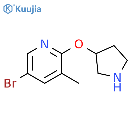 5-bromo-3-methyl-2-(pyrrolidin-3-yloxy)pyridine structure