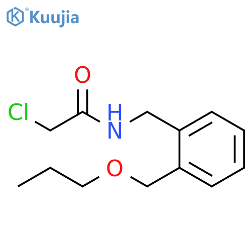 2-chloro-N-{2-(propoxymethyl)phenylmethyl}acetamide structure