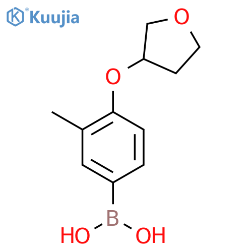 [3-Methyl-4-(oxolan-3-yloxy)phenyl]boronic acid structure