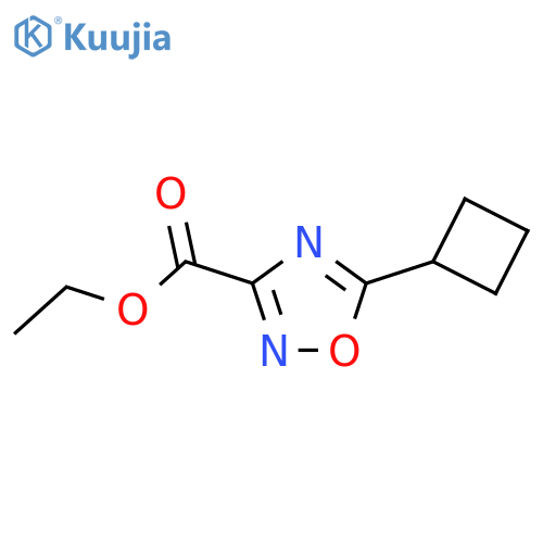 ethyl 5-cyclobutyl-1,2,4-oxadiazole-3-carboxylate structure