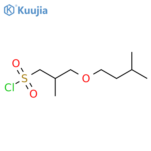 2-methyl-3-(3-methylbutoxy)propane-1-sulfonyl chloride structure
