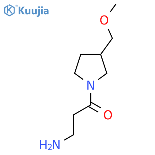 3-amino-1-[3-(methoxymethyl)pyrrolidin-1-yl]propan-1-one structure