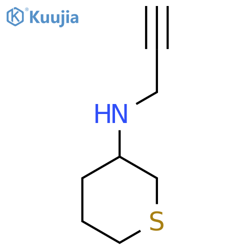 N-(prop-2-yn-1-yl)thian-3-amine structure
