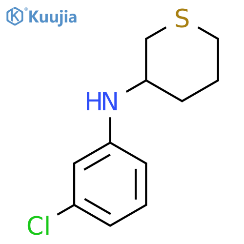 N-(3-chlorophenyl)thian-3-amine structure
