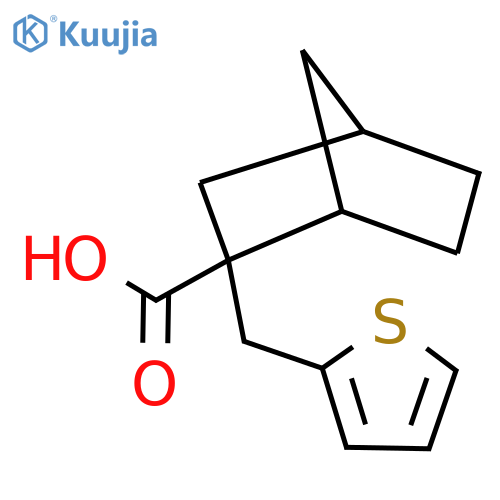 2-[(thiophen-2-yl)methyl]bicyclo[2.2.1]heptane-2-carboxylic acid structure