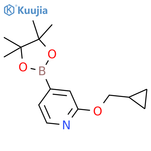 2-(Cyclopropylmethoxy)-4-(4,4,5,5-tetramethyl-1,3,2-dioxaborolan-2-yl)pyridine structure