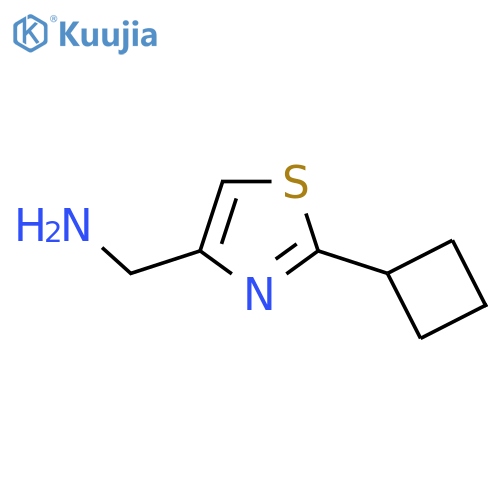 (2-cyclobutylthiazol-4-yl)methanamine structure