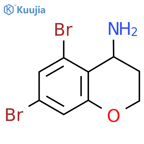 5,7-dibromo-4-chromanamine structure