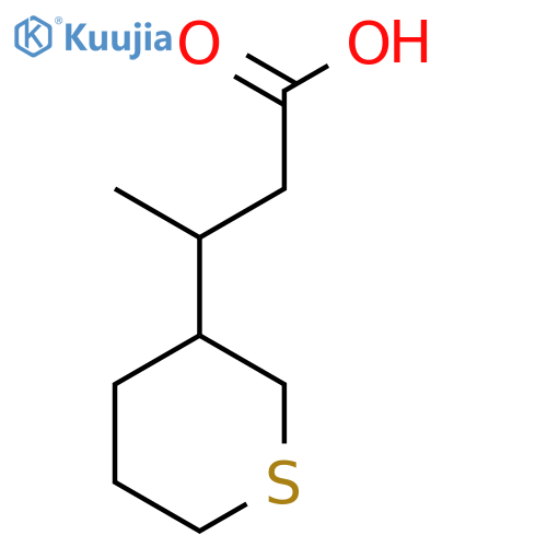 3-(thian-3-yl)butanoic acid structure