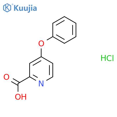 4-Phenoxypyridine-2-carboxylic acid hydrochloride structure