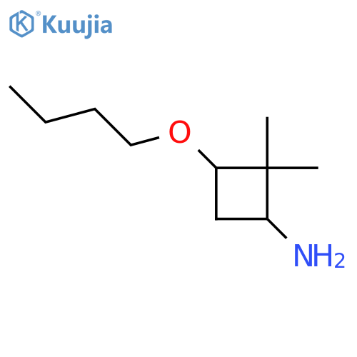 3-Butoxy-2,2-dimethylcyclobutan-1-amine structure