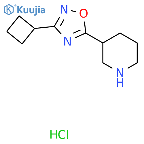 3-(3-Cyclobutyl-1,2,4-oxadiazol-5-yl)piperidine hydrochloride structure
