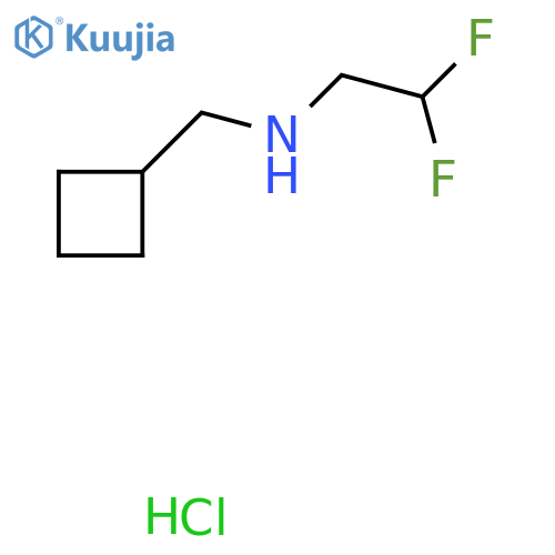 (Cyclobutylmethyl)(2,2-difluoroethyl)amine hydrochloride structure