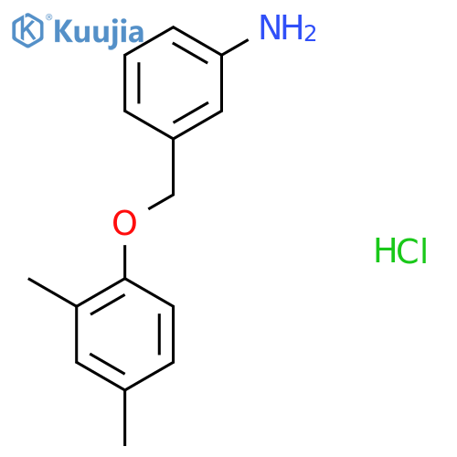 {3-(2,4-Dimethylphenoxy)methyl-phenyl}amine Hydrochloride structure